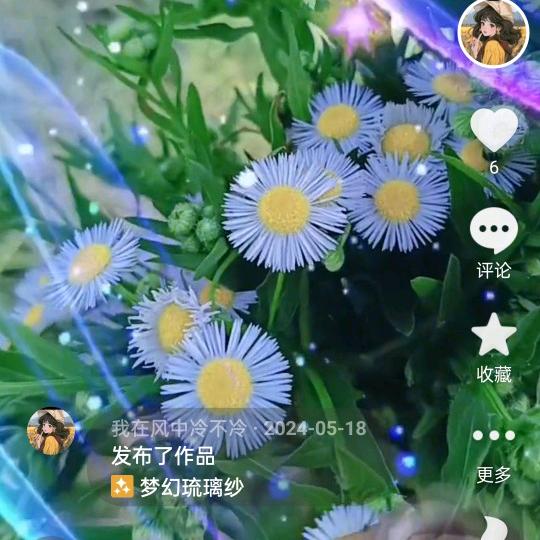 我在风中冷不冷