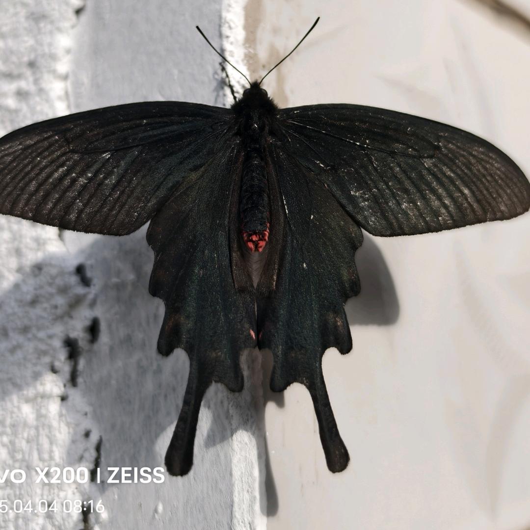 前程🥂必🈶光