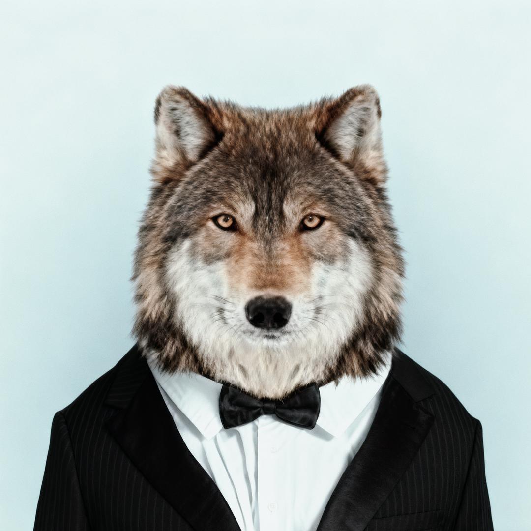 人丑嘴不甜长的危险还欠钱