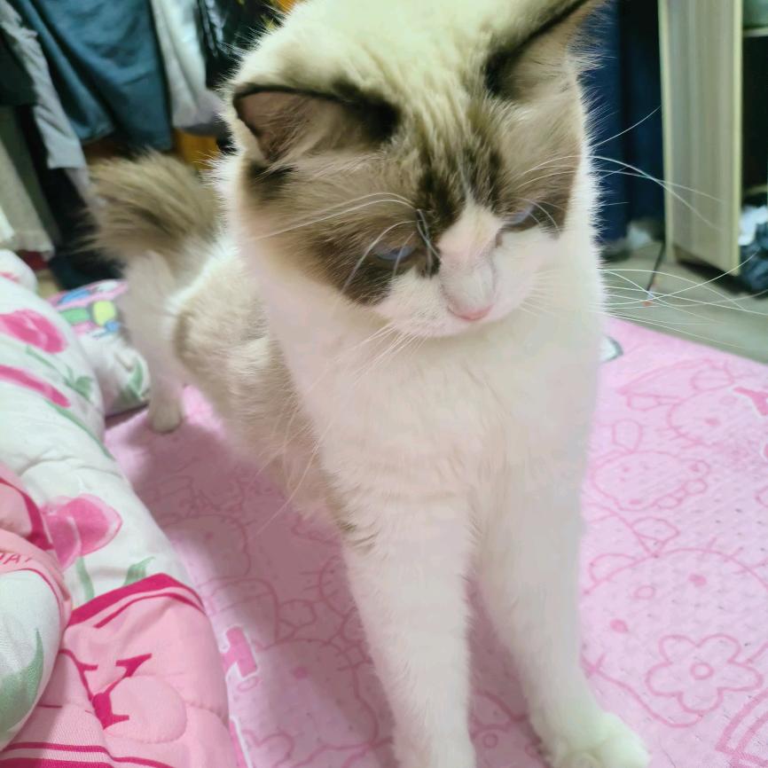 疲惫大姐