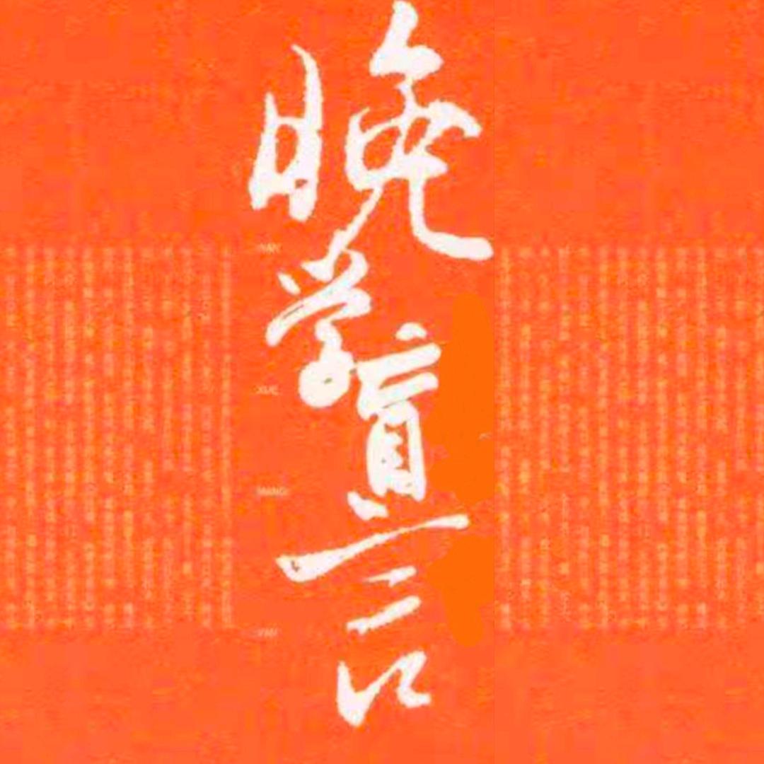 晚学盲言