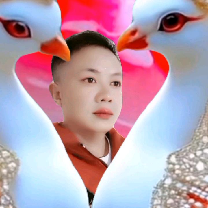 用户2176358702094“