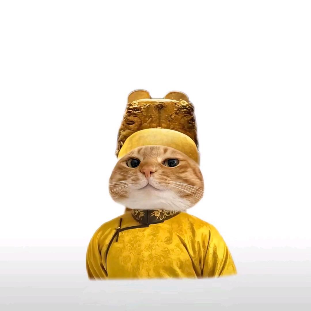 不过尔尔、