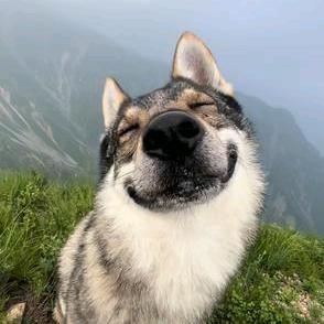 二掌柜的酒托