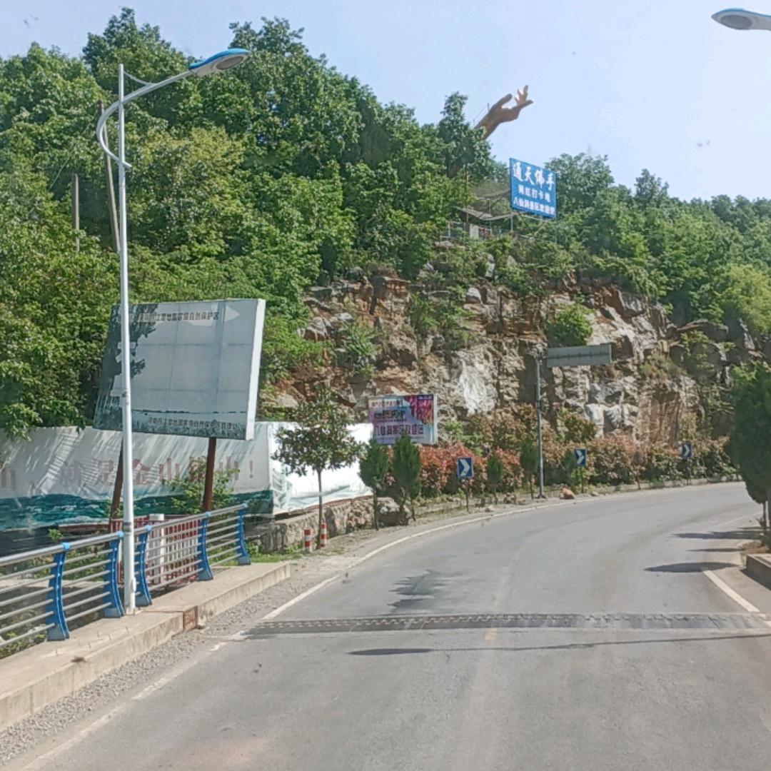 专业挖树清地
