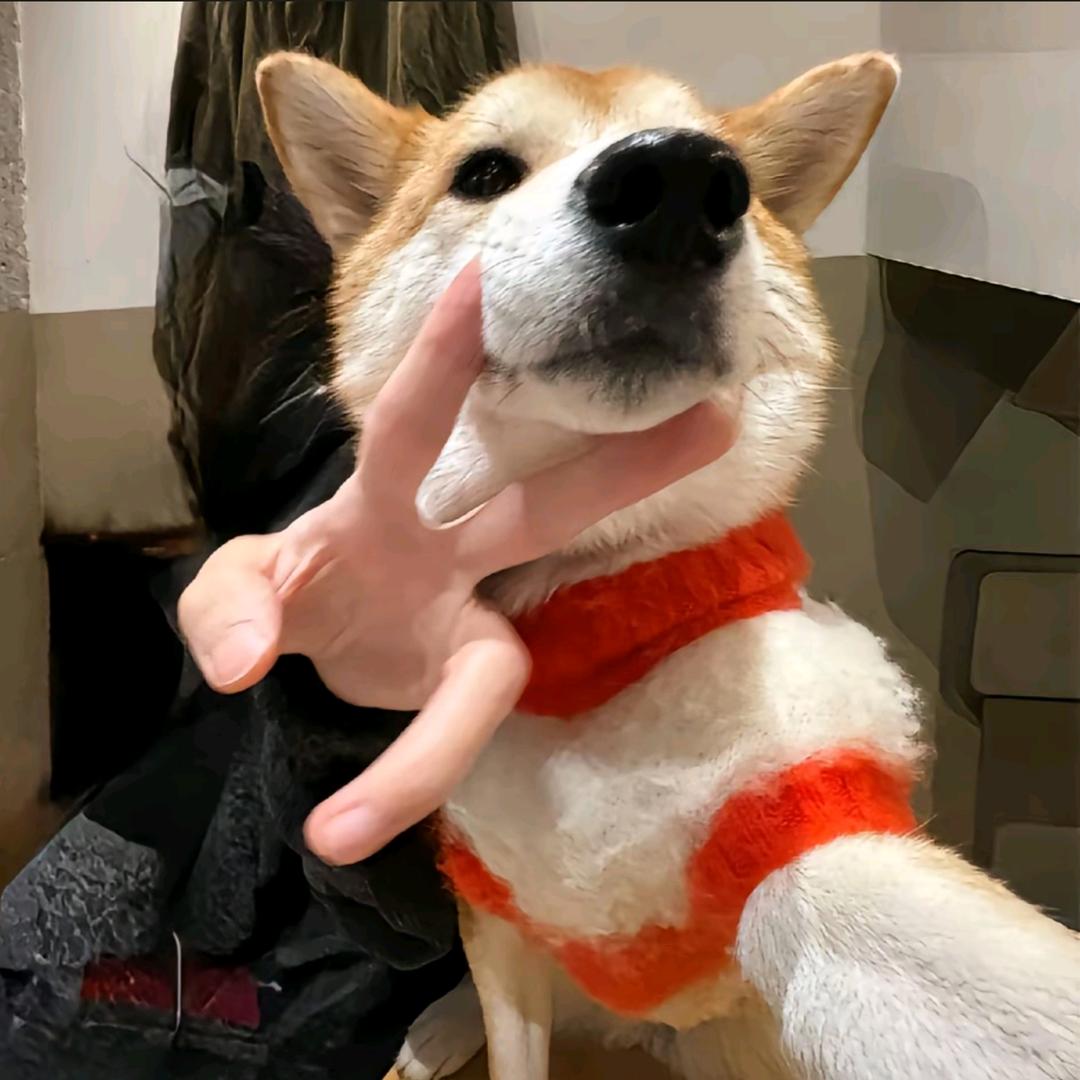 大大大大、大胆