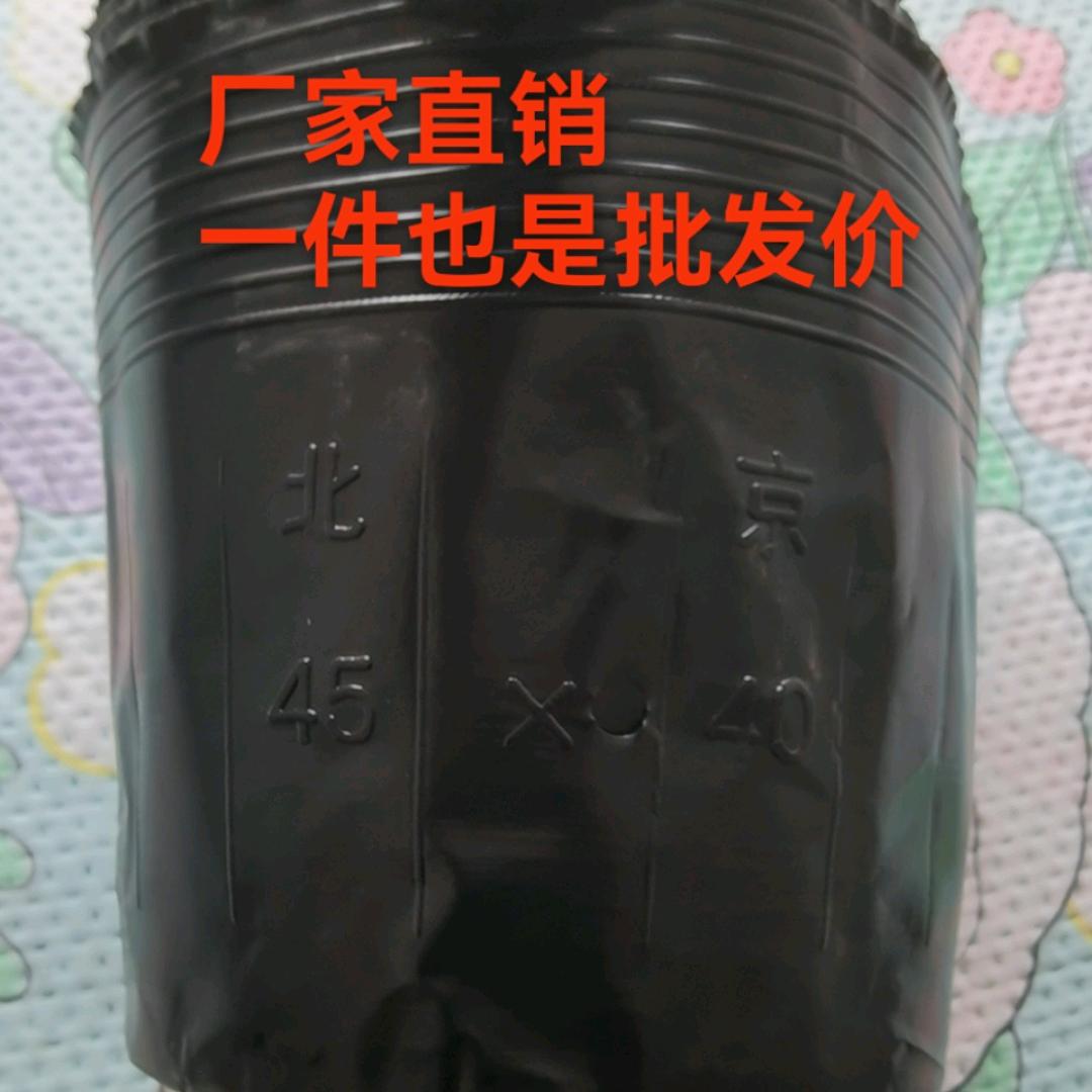 宋海强