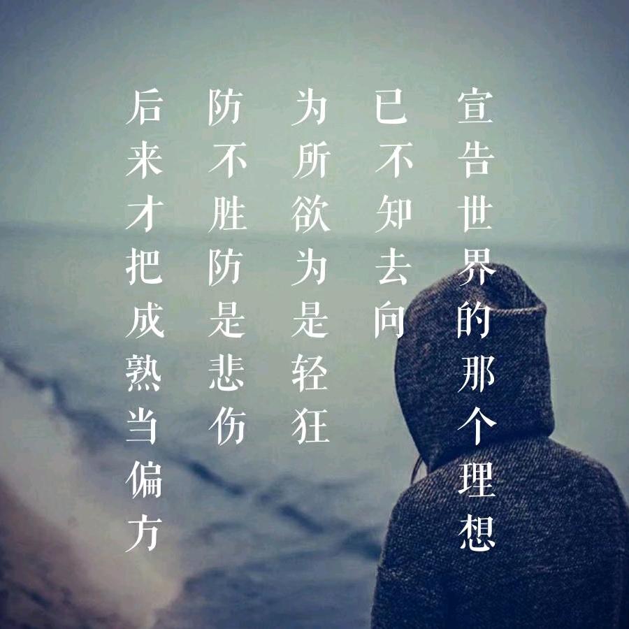 小晨带你吃喝玩乐