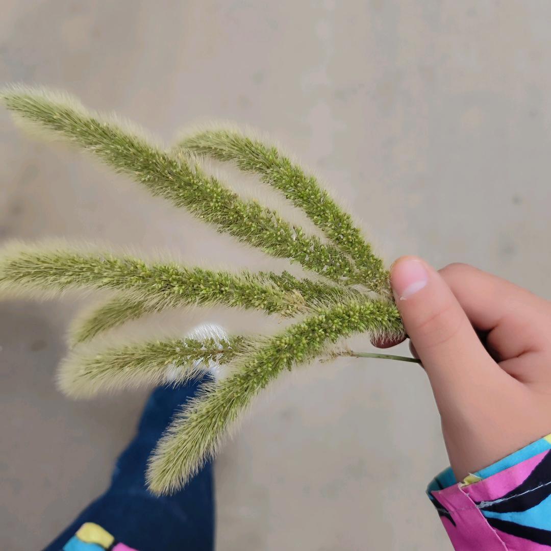 没有名字