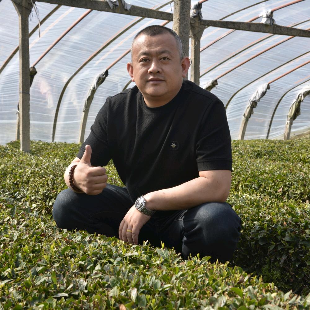 青岛三山春茶叶专业合作社