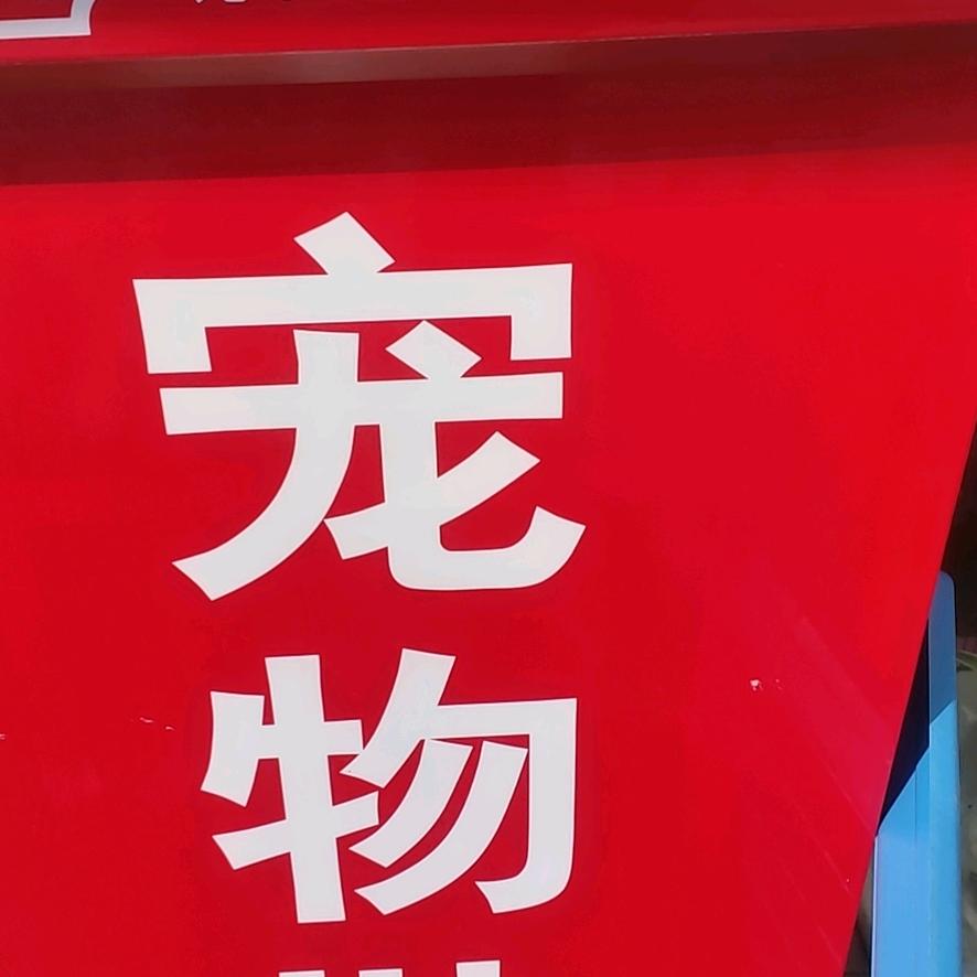 昆山五黑五红土松犬基地