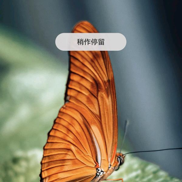 开心