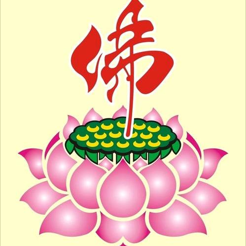 陶琨鹏