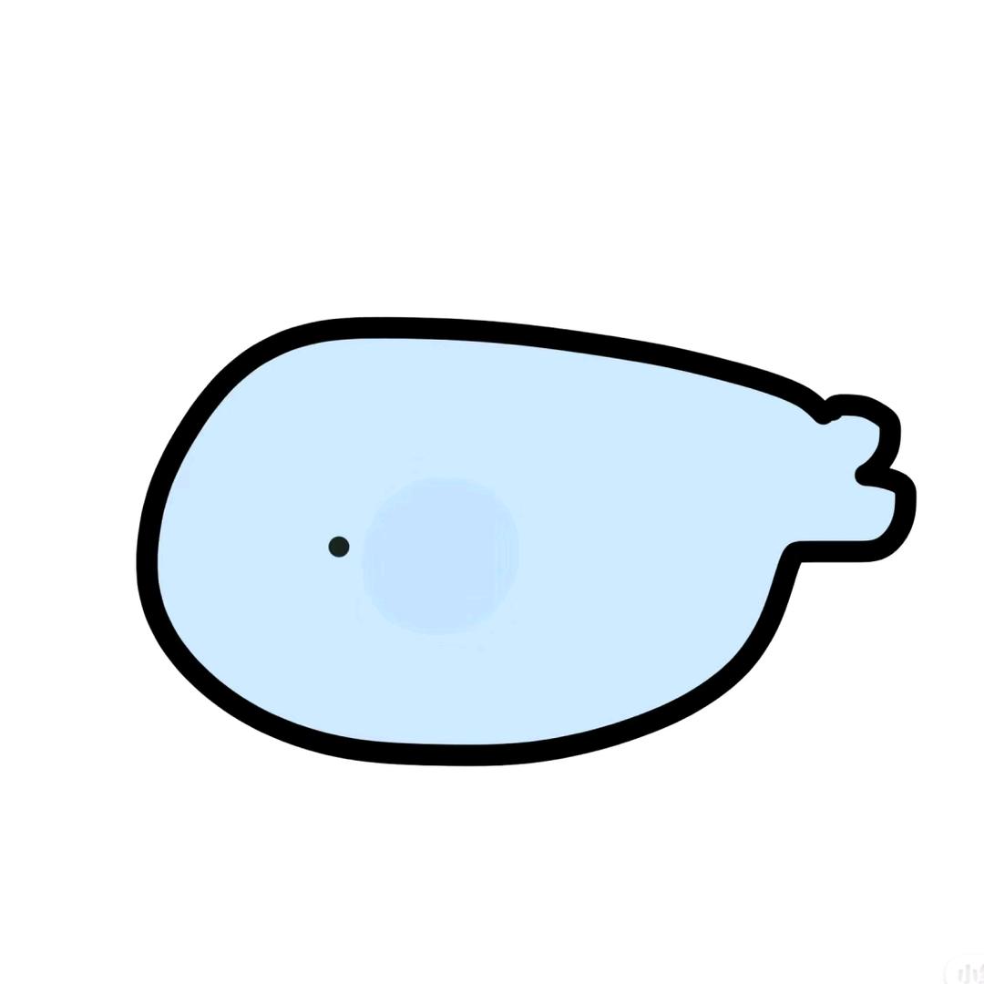 小🐟一米五