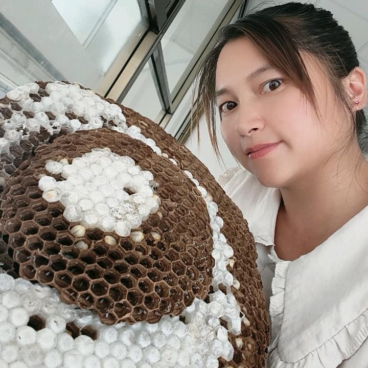 小何土特产批发零售