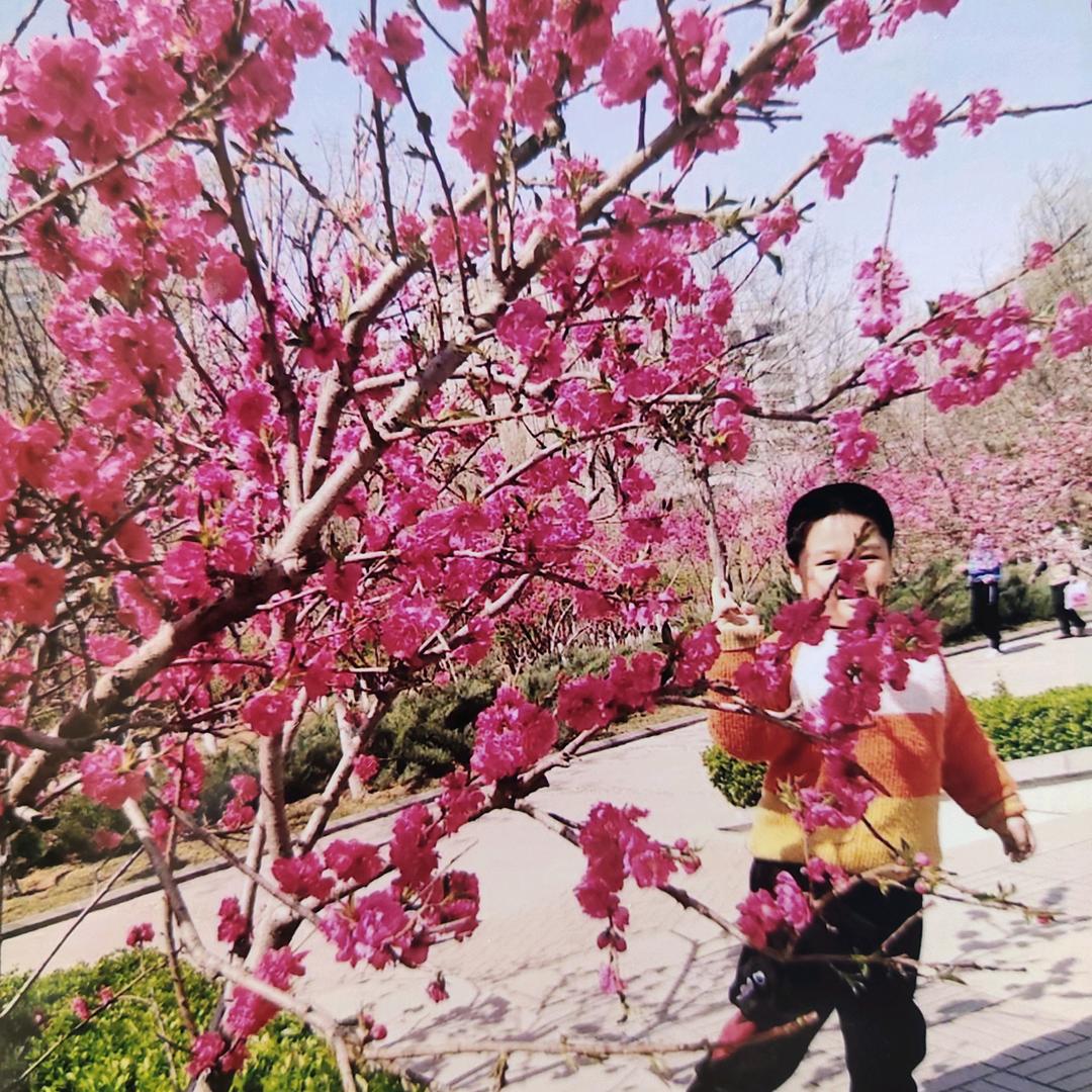 青春华丽
