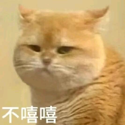 匪气熊大暴富