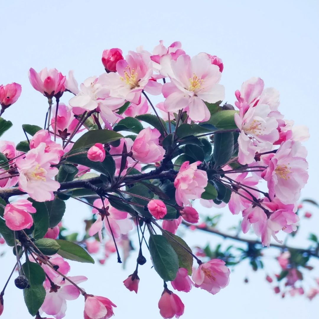 天普水暖，圣洛威集成热水器