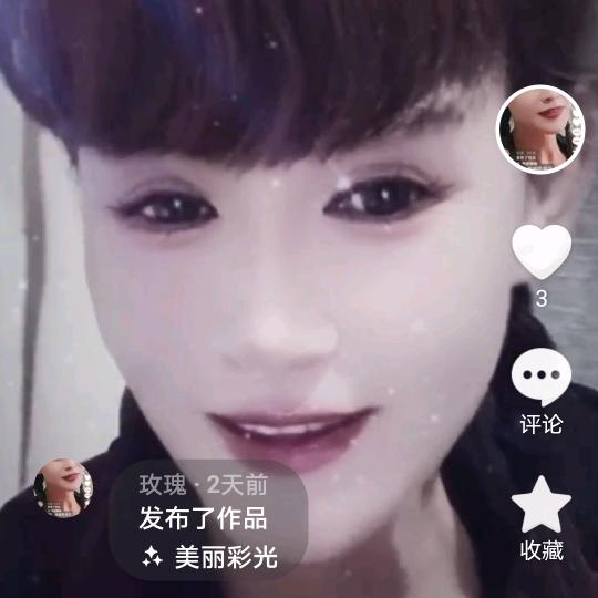 玫瑰