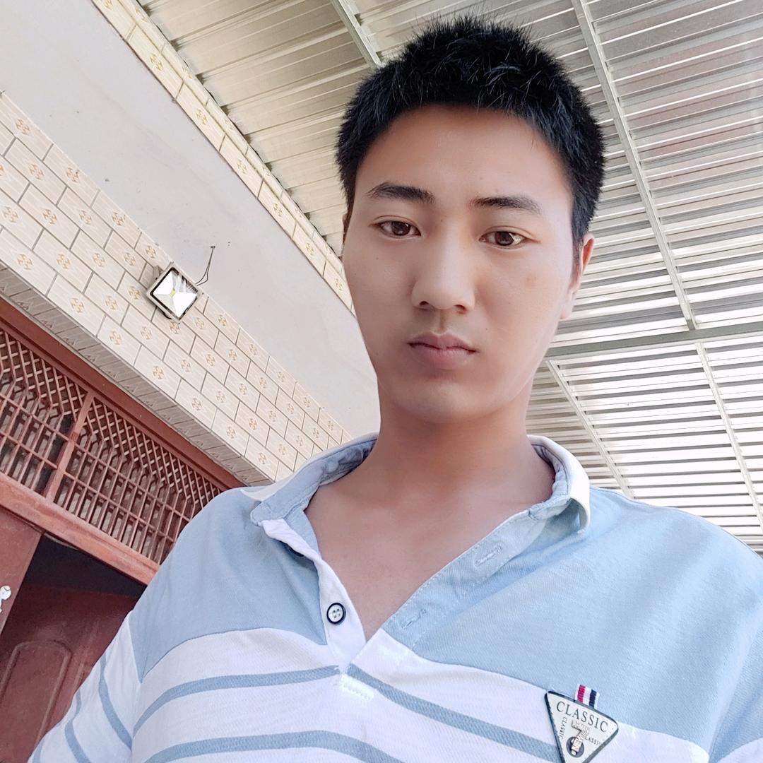 皮卡熊