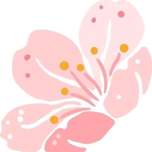 SPRING M春晓