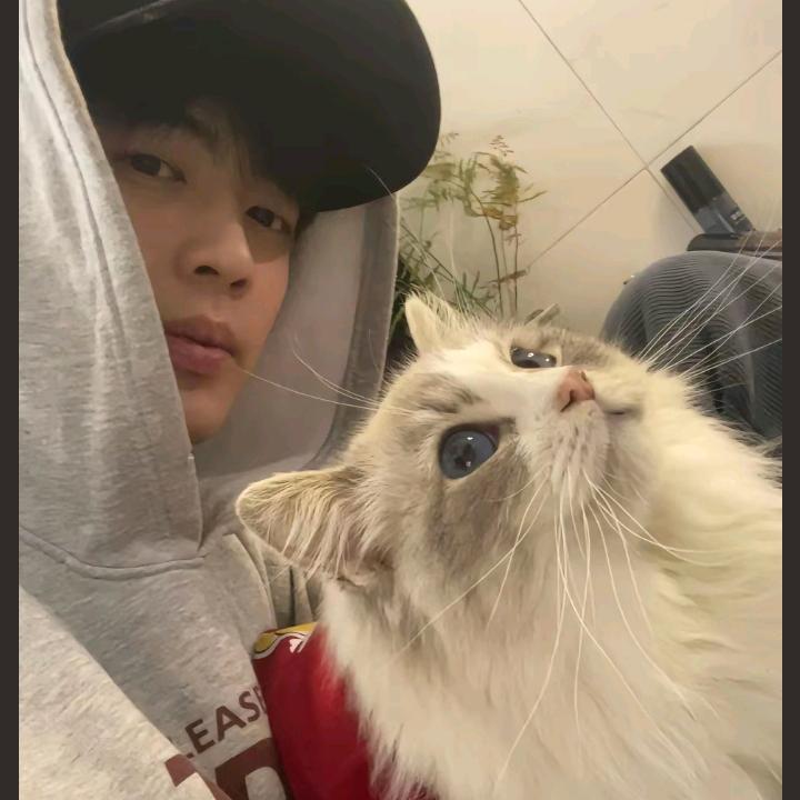 林北真的是胡了