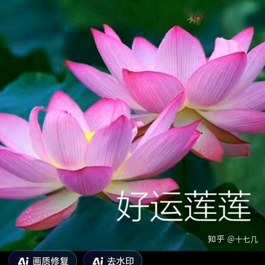 自由季节，