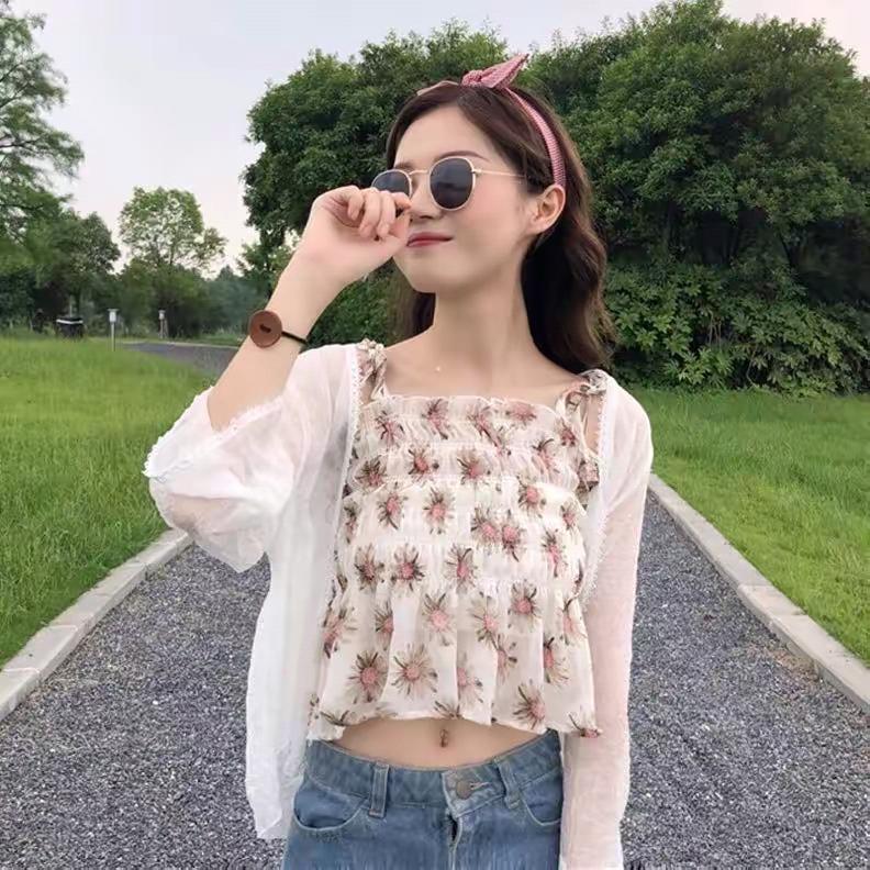 风禾🌸