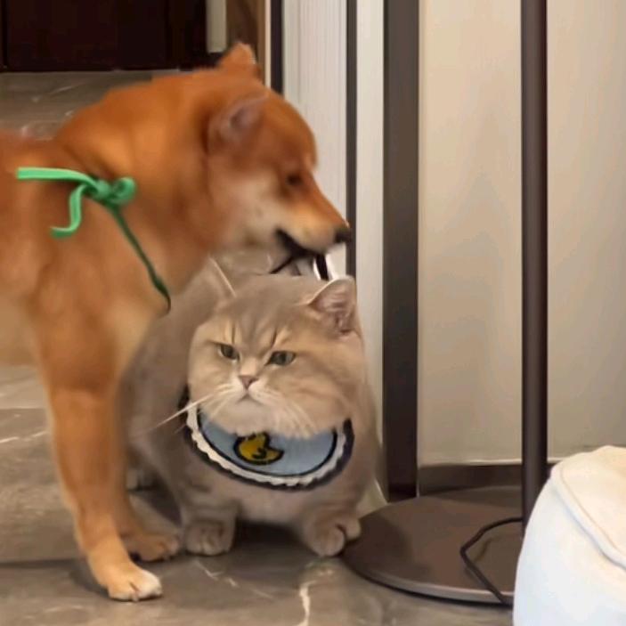 不、不熬夜