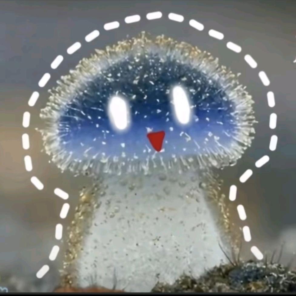 ദ്ദി˶￣▽￣)✧