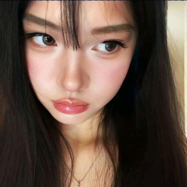 独嘉日记.
