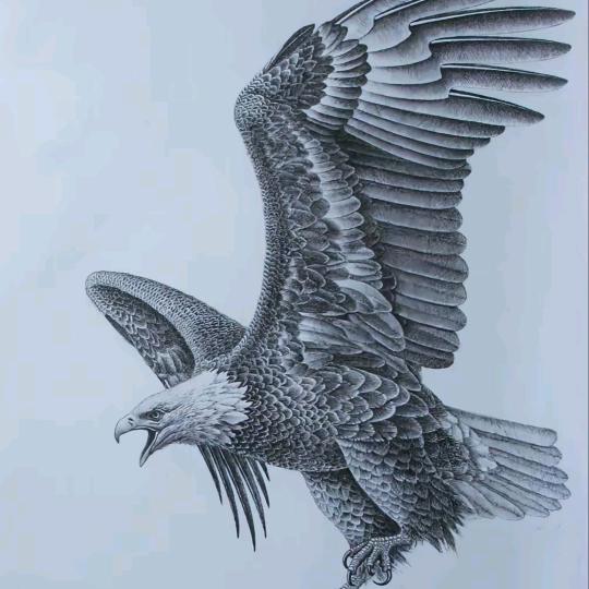 陈毅，装修设计工作室