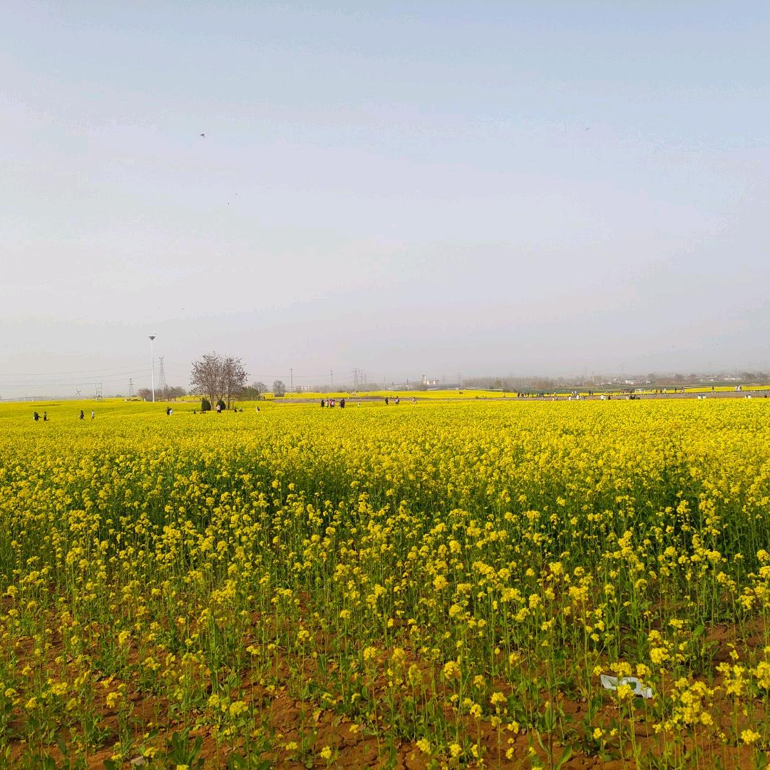 坐在阳台上看风景