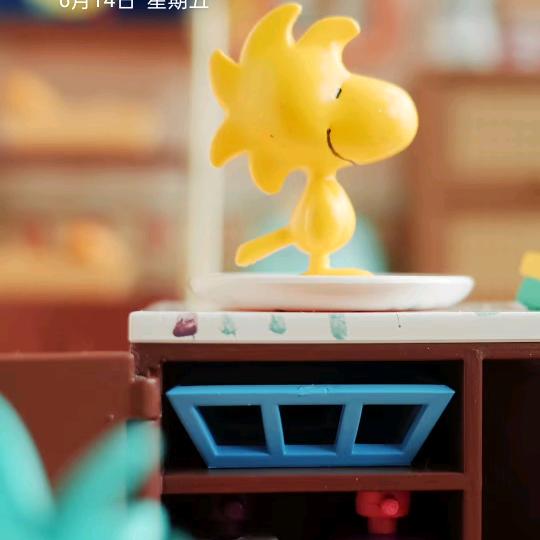 张小哥