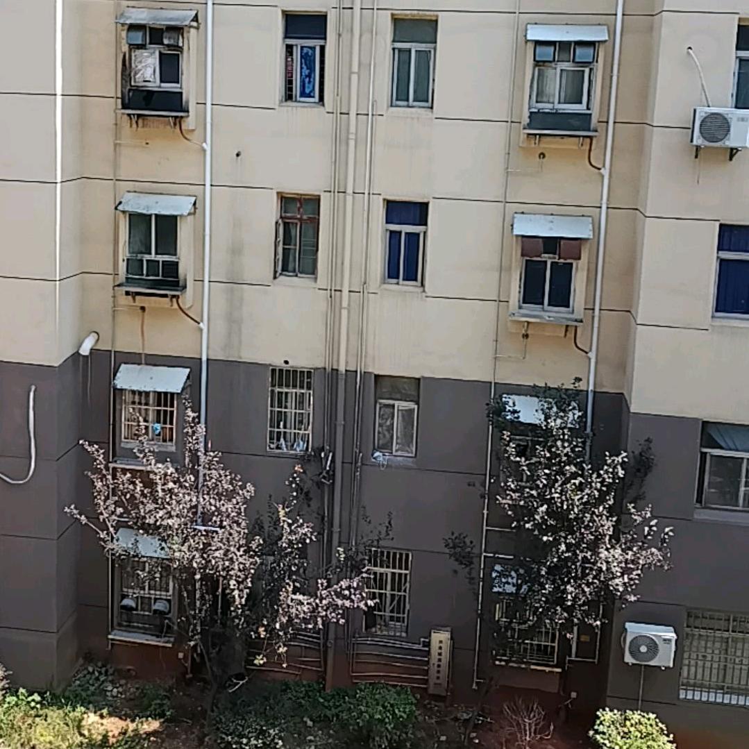 开心快乐