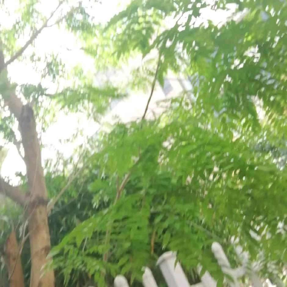 一切随緣