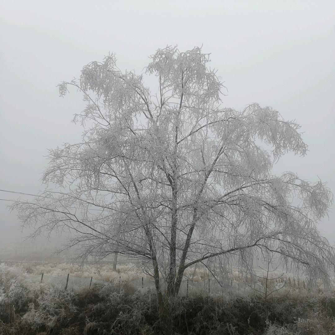 雪中(ɔˆ ³(ˆ⌣ˆc)行