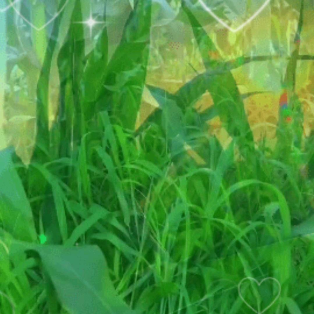 沉默