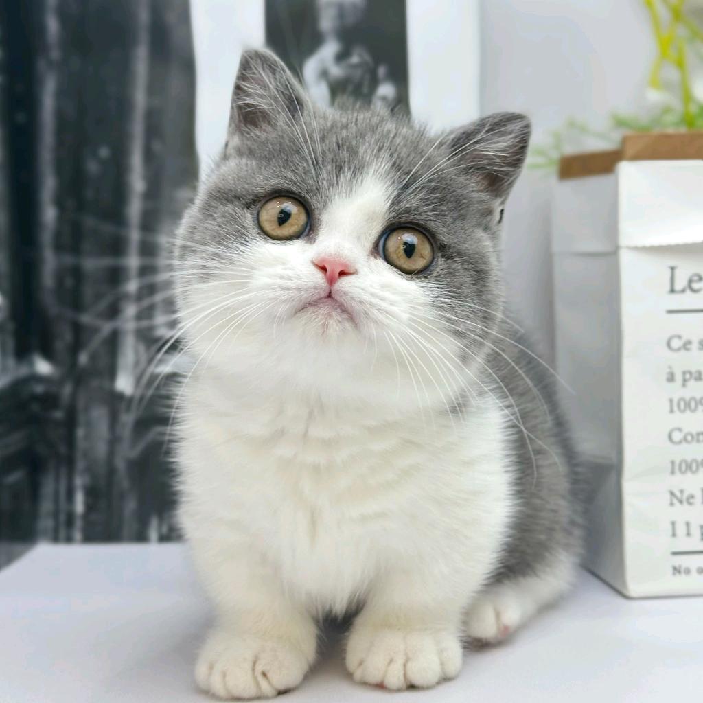 义乌菲斯曼地暖，中央空调，柯