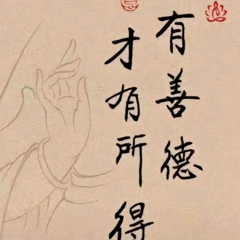 杨小杨