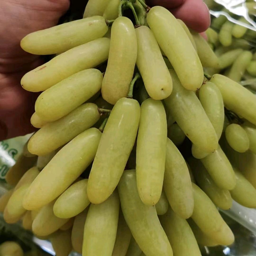 果木岛溪辉果树苗木专卖店