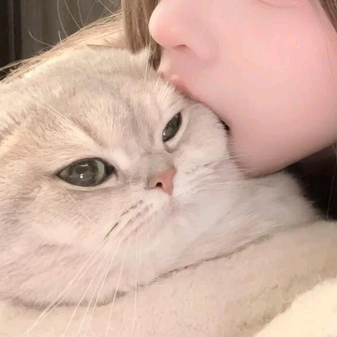 煞煞
