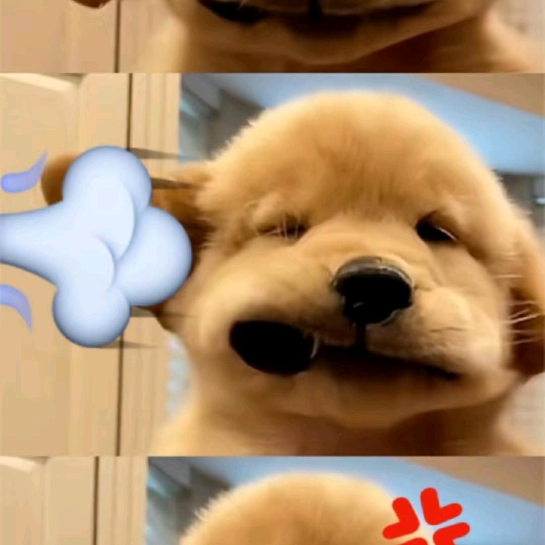 吾取不来名字🕊️