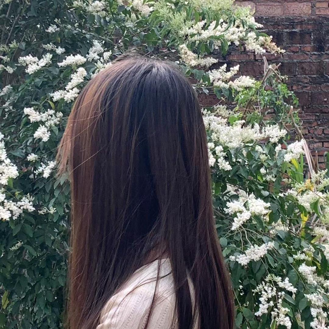 林黛玉倒拔垂杨柳