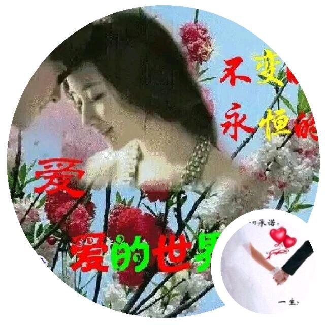 珊珊来迟
