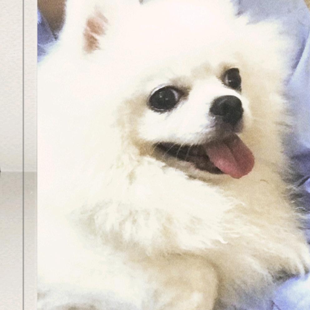 彼此珍惜