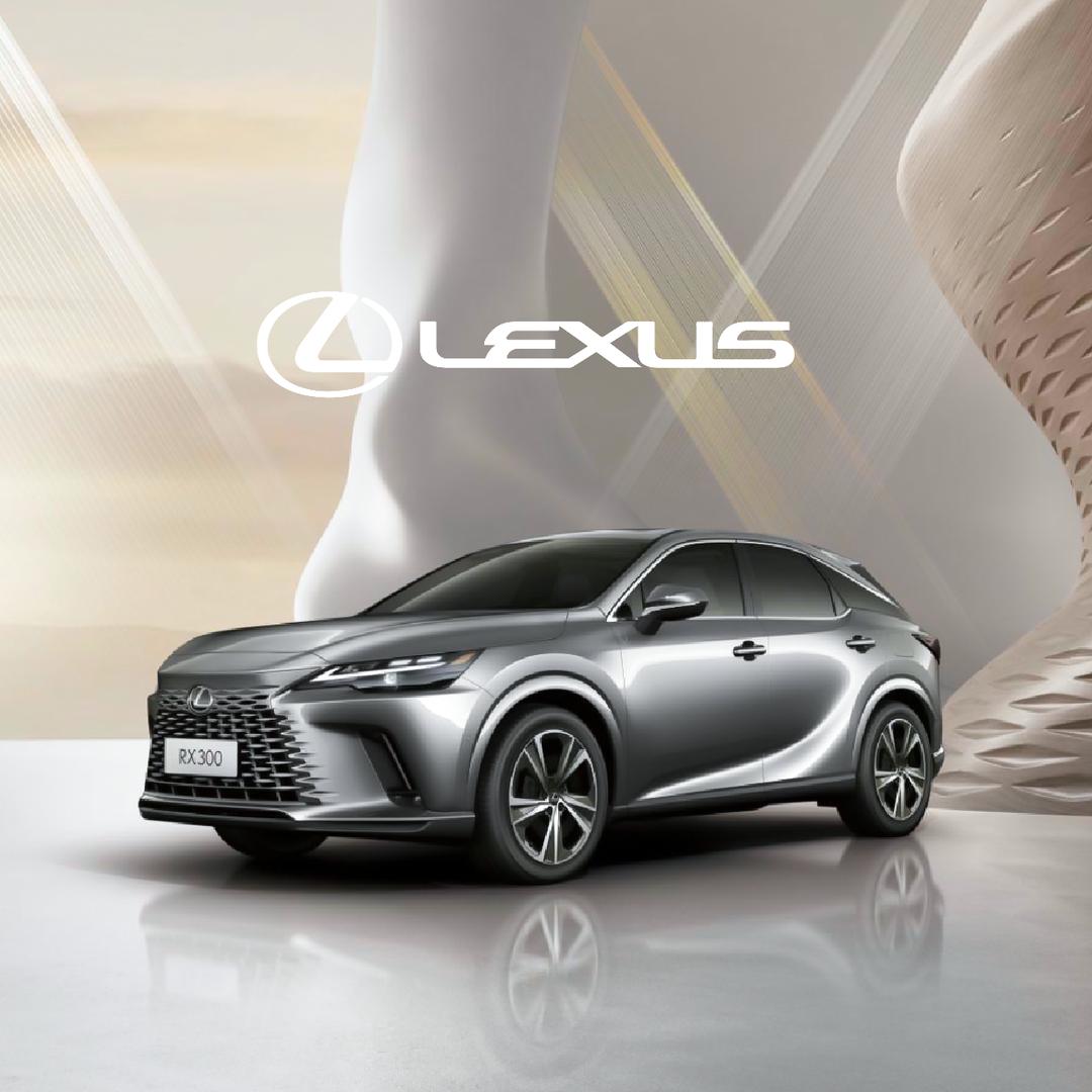 武汉中升雷克萨斯盘龙汽车城店