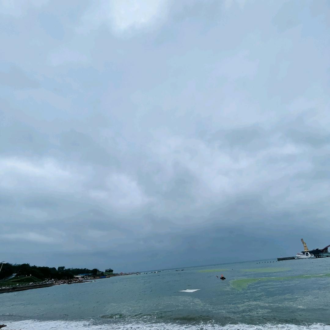 发财喵