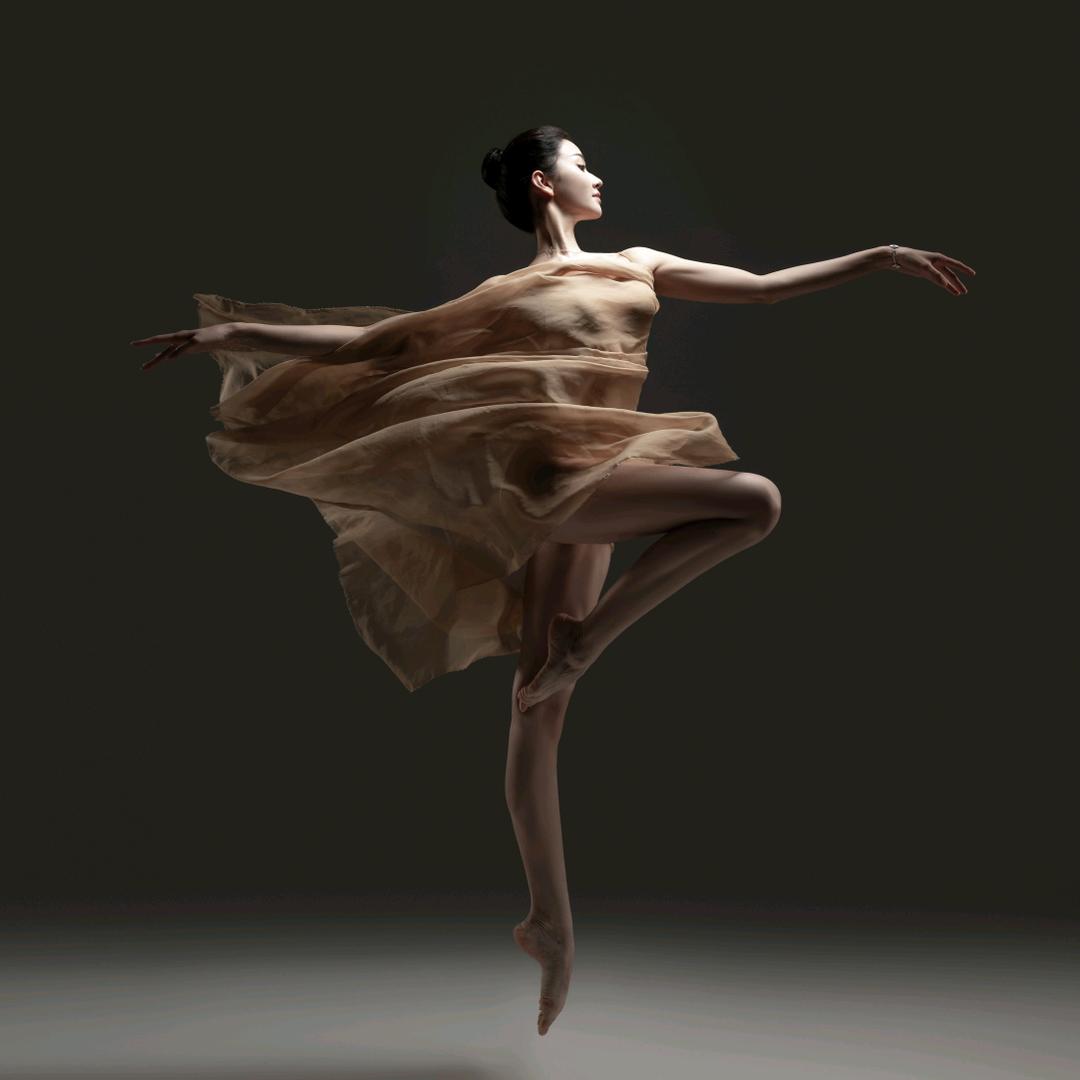 庄生晓梦🦋⁵¹¹