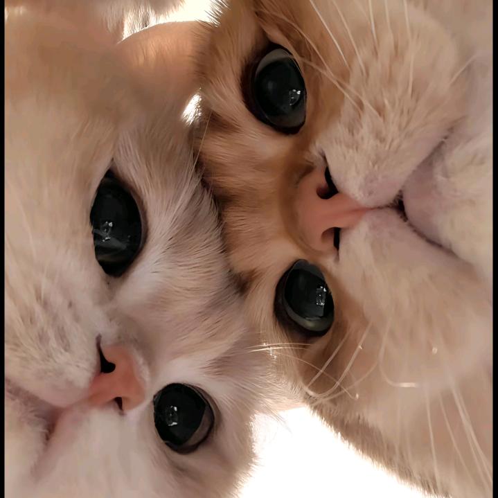 笑嘎嘎